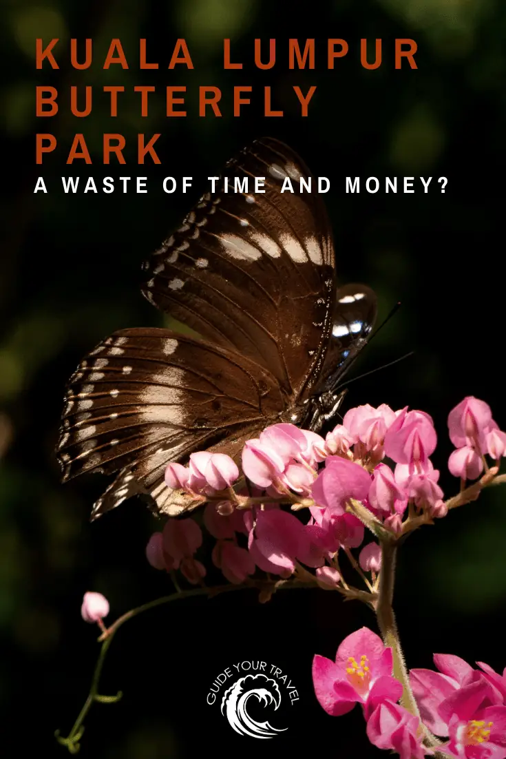 kuala-lumpur-butterfly-park-a-waste-of-time-and-money