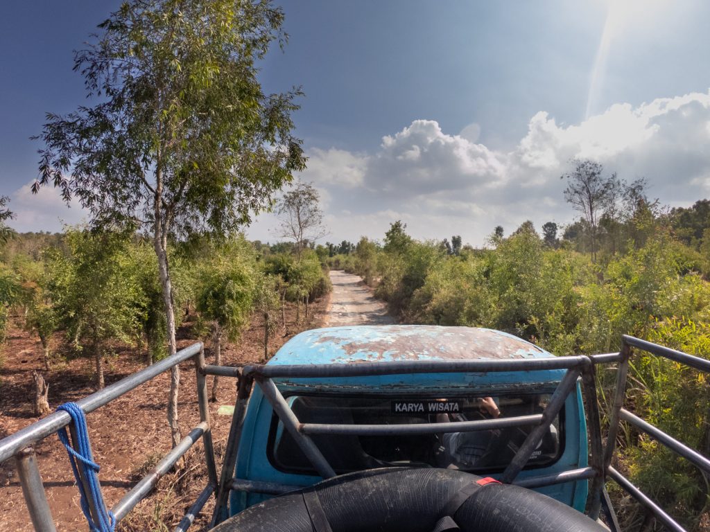 standing on top of a pickup truck driving through indonesian landscape