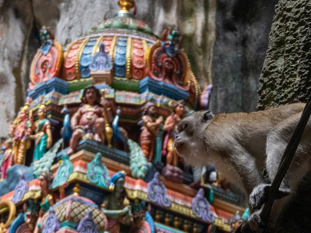 Monkeys Batu Caves temple entrance fee