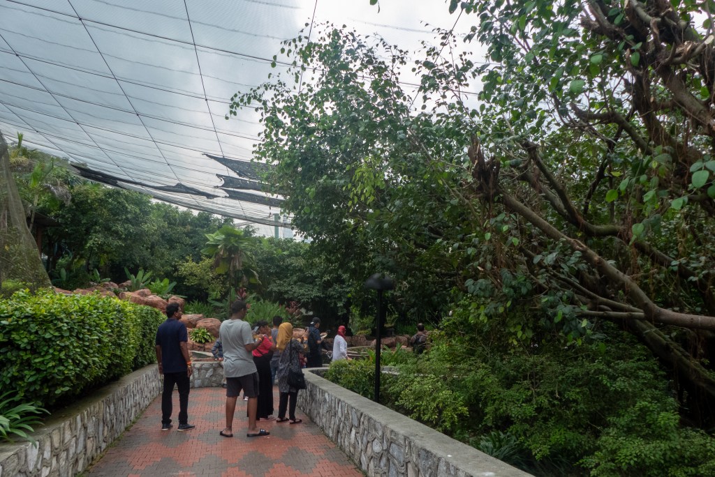 aviary walk in free flight Kuala Lumpur malaysia walkway crowds KL