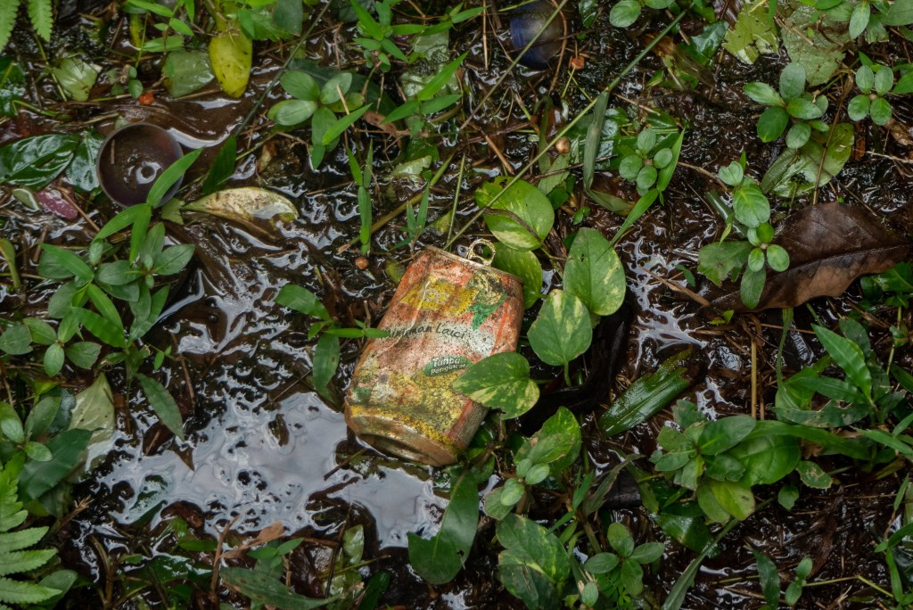 trash bird park kuala lumpur dirty plastic ethical controversiy animal cruelty