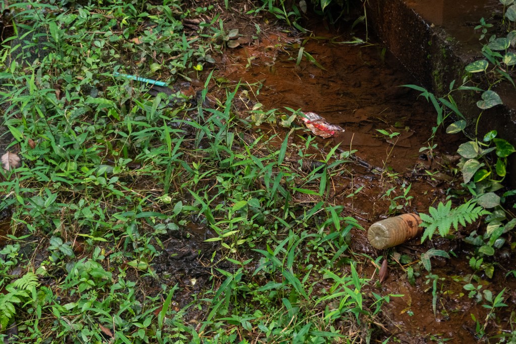 trash bird park kuala lumpur dirty plastic ethical controversiy animal cruelty