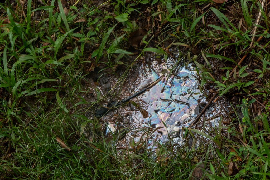 trash bird park kuala lumpur dirty plastic ethical controversiy animal cruelty