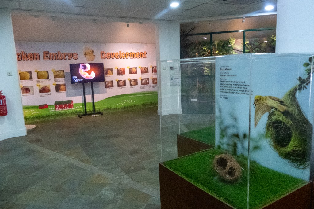 educational exhibit bird park