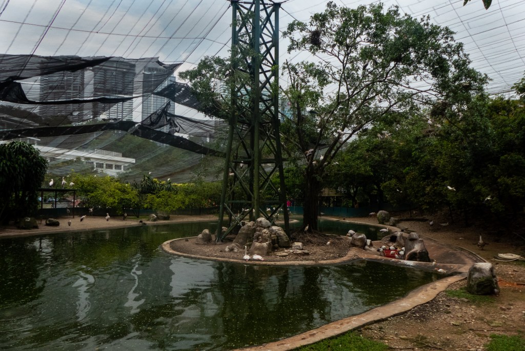 Kuala Lumpur Ethical bird park aviary free flight pond