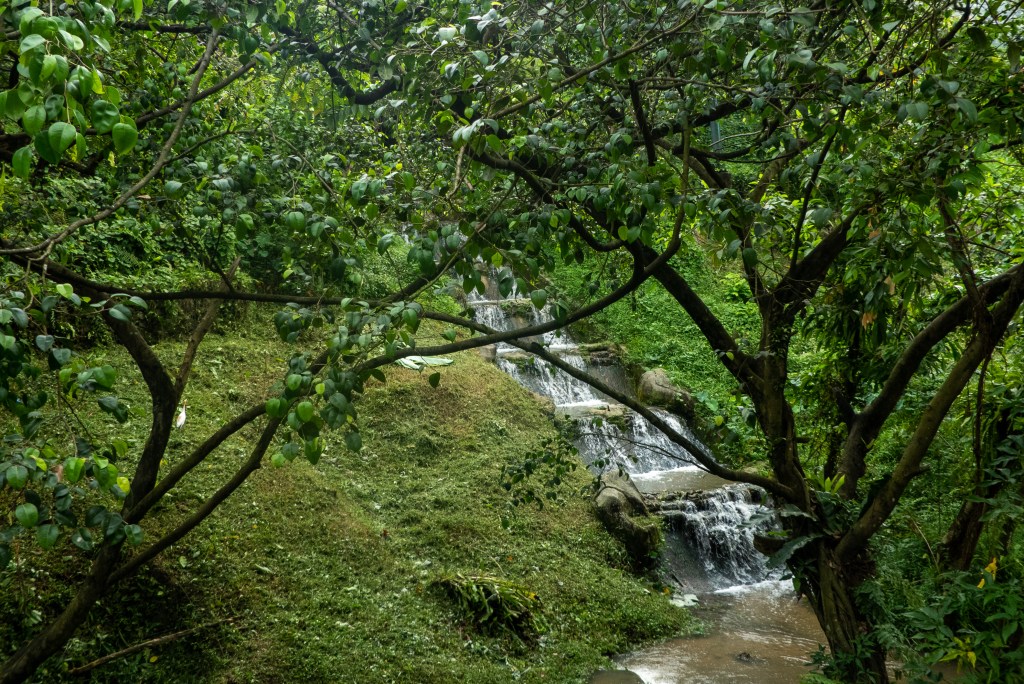 waterfall bird park kl green park