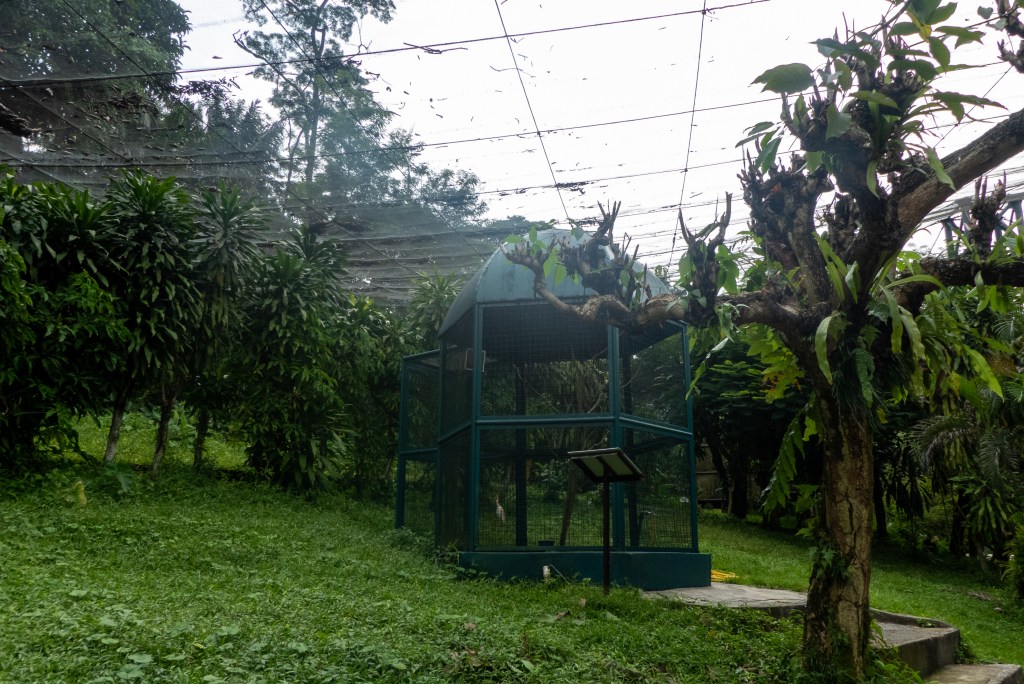 Kl bird park cages aviary 