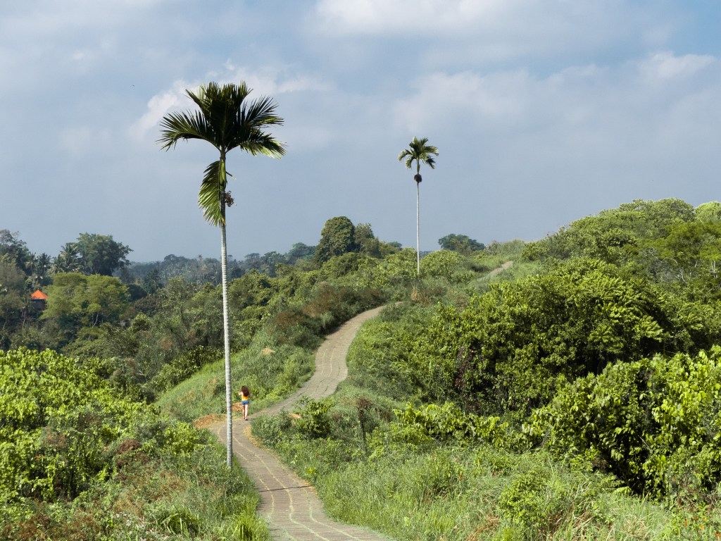 trip to ubud bali