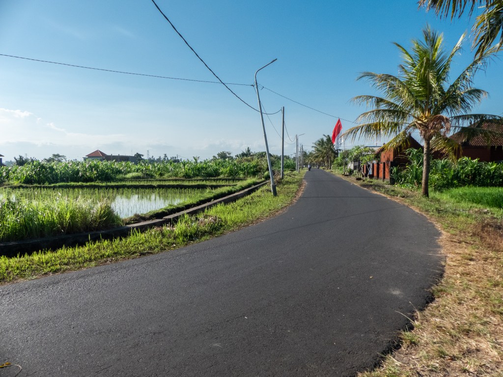 day trip ubud