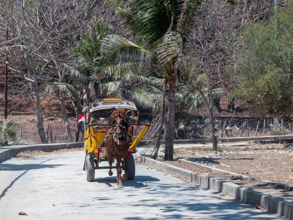 horse cart gili trawangan or gili air