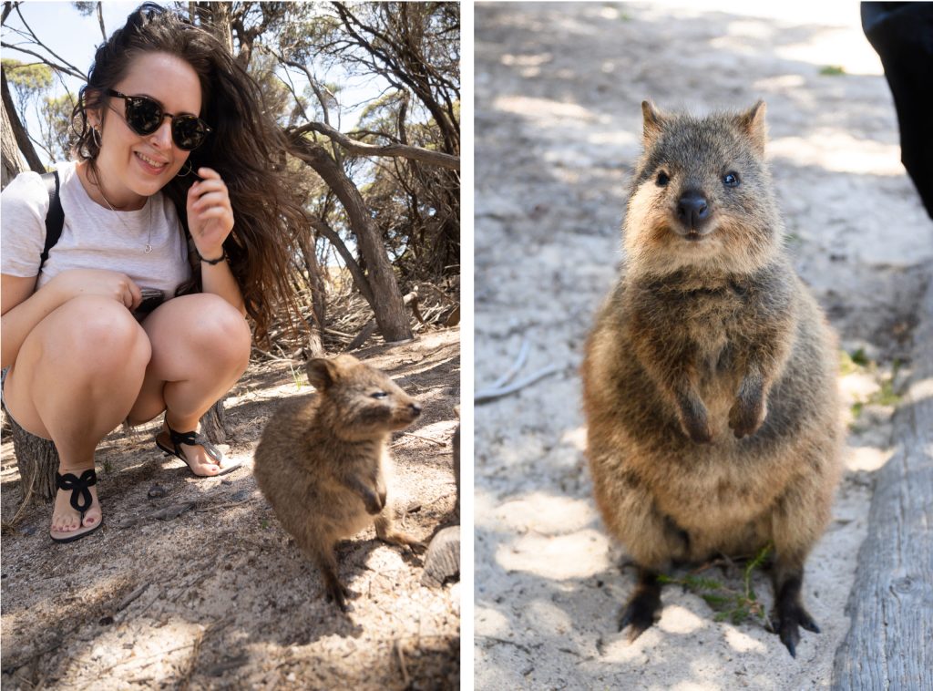 Selfie with Quokka Rottnest Island girl