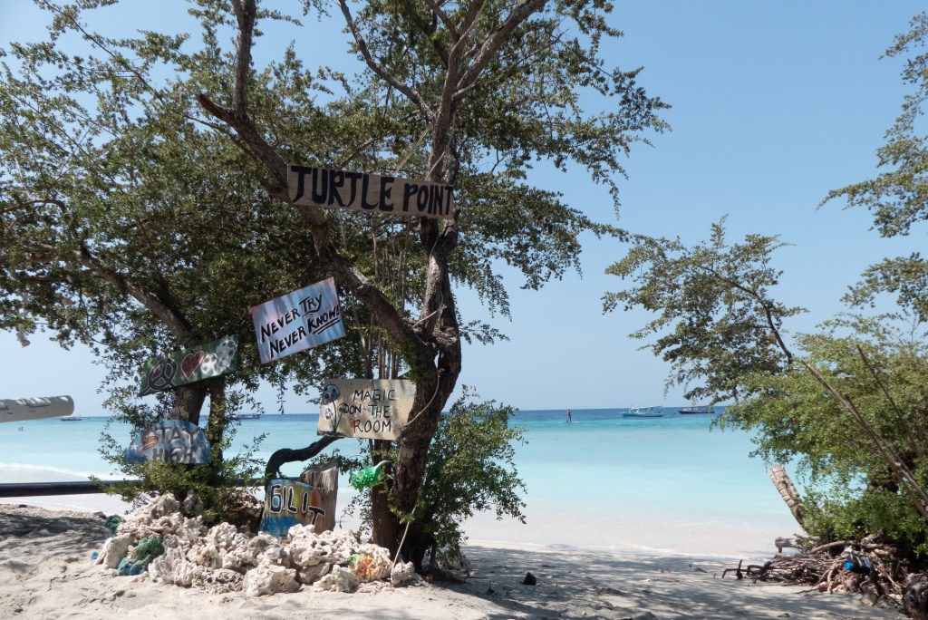 turtle point gili t snorkelling mushrooms beach