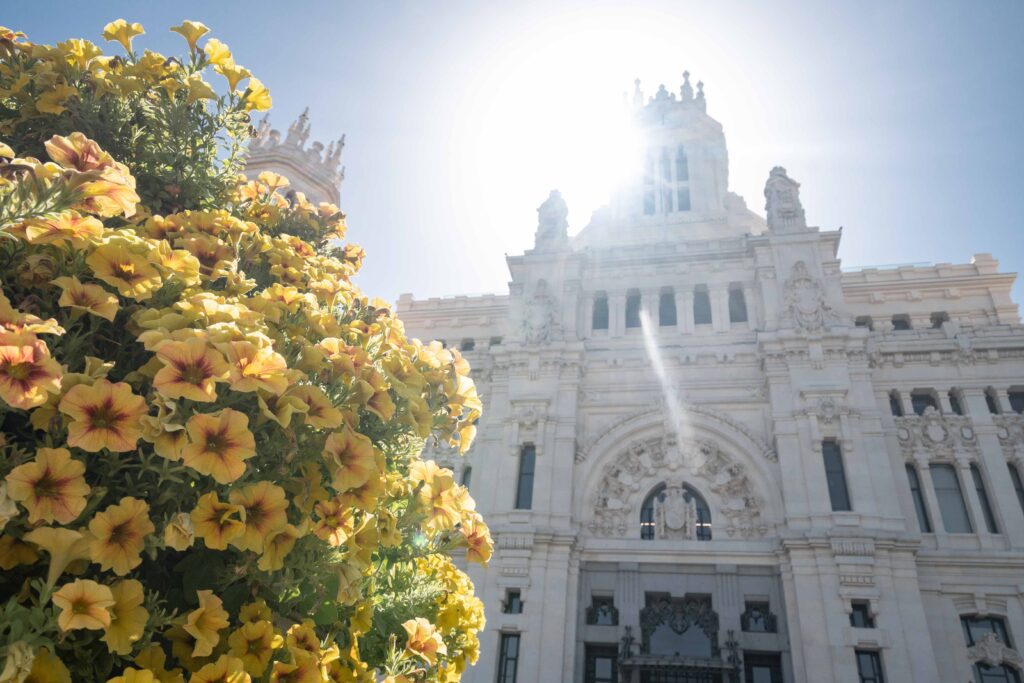 Madrid Cibeles Palace Spain flowers sun white building