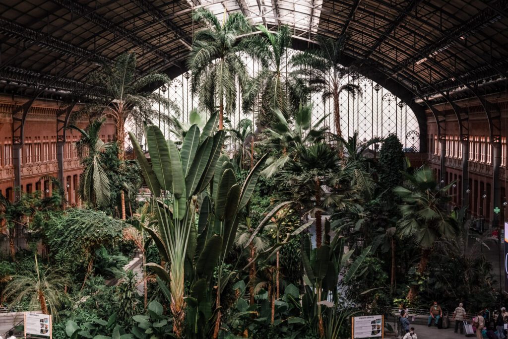 Madrid Malaga Train Atocha Station AVE Renfe