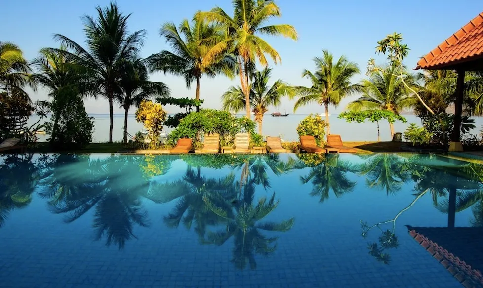 pool ocean front palm tree hotel 