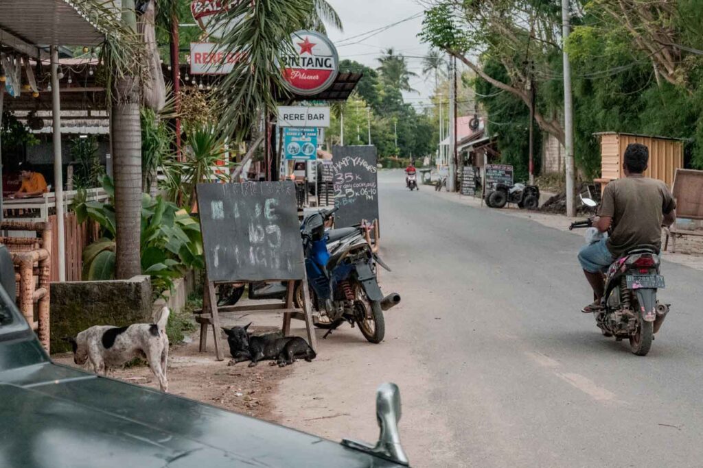 Kuta Lombok streets town dogs scooters