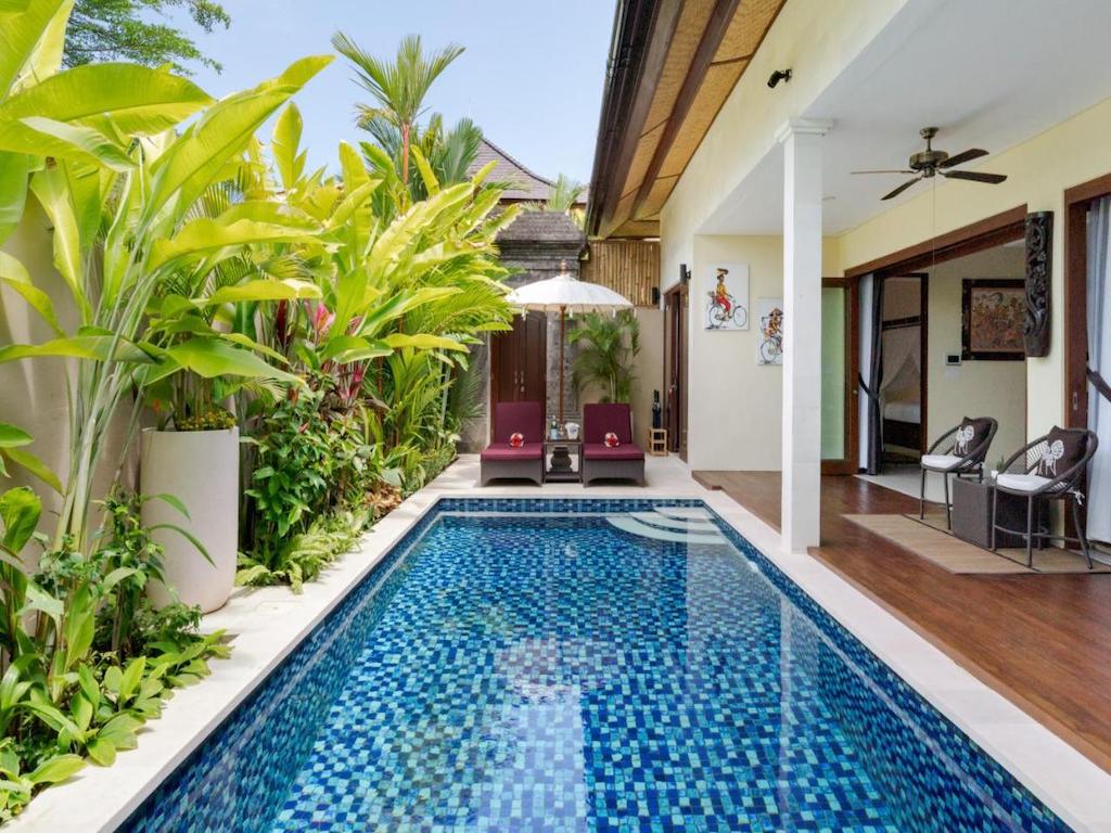 terrace with pool and sun loungers surrounded by plants