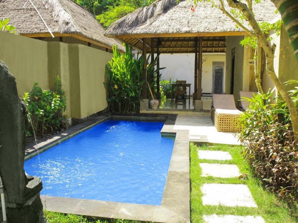 patio with pool and sunloungers surrounded by green garden