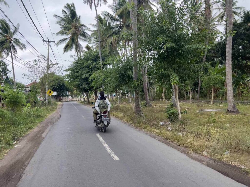 nusa penida road scooter gojek grab passenger palm tree street