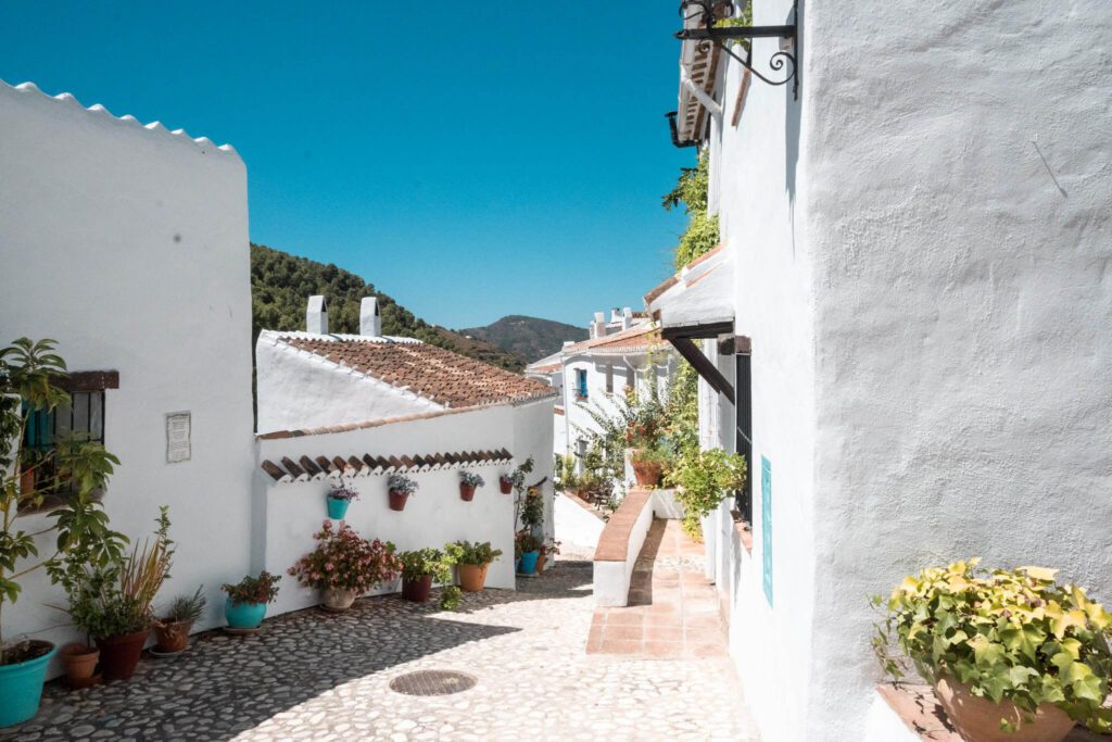 acebuchal white town Spain flowers