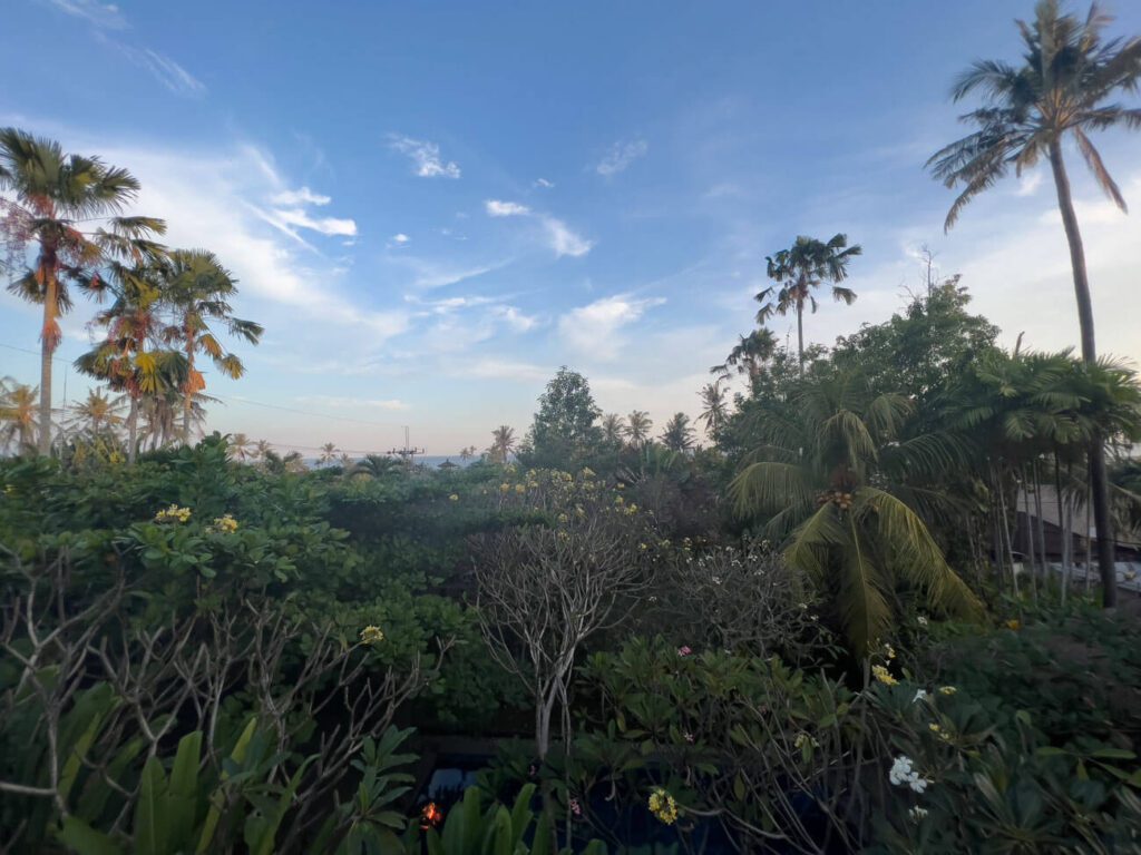 bali sunset sanur palm trees and jungle