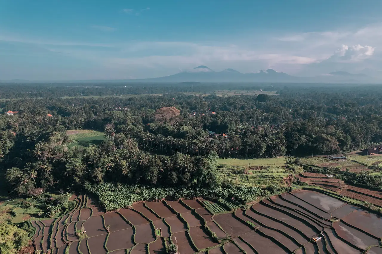 Ubud Sayan view rice terrace vulcano