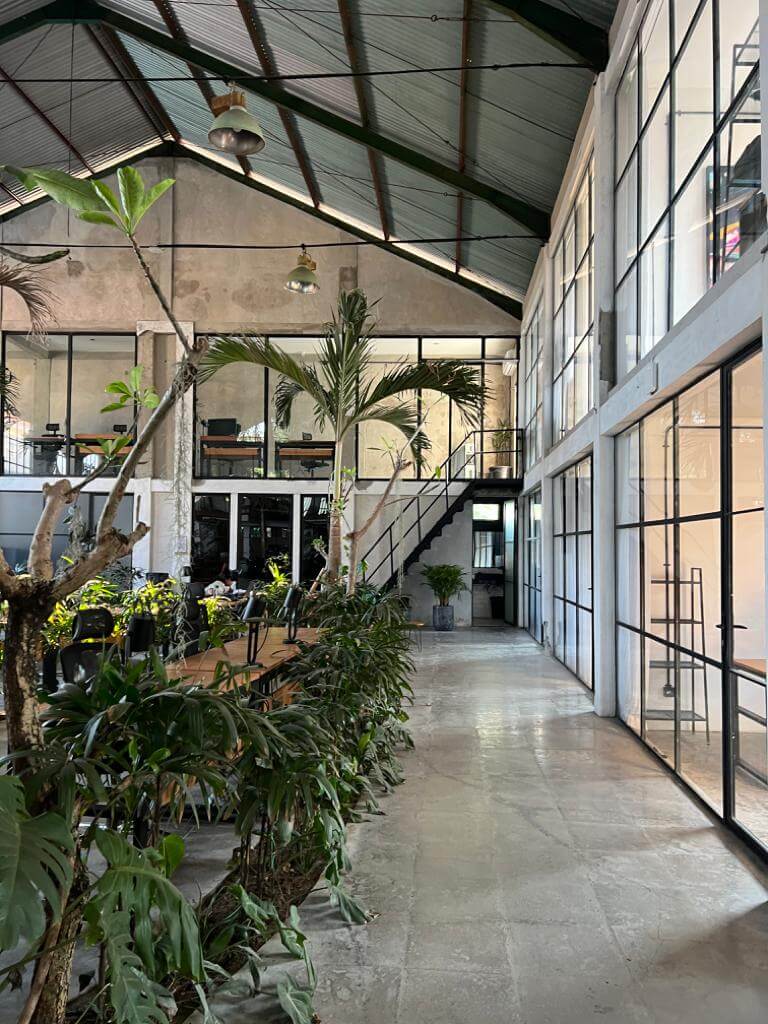 large coworking space with tables, private desks and plants