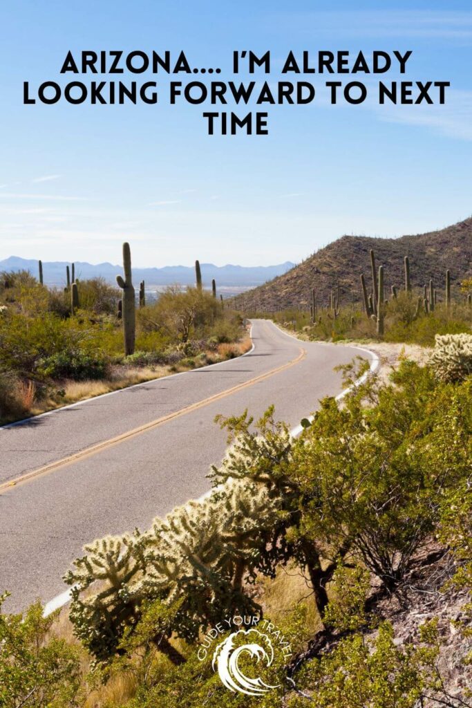 road in the dessert with cactus and bushes arizona instagram captions and quotes