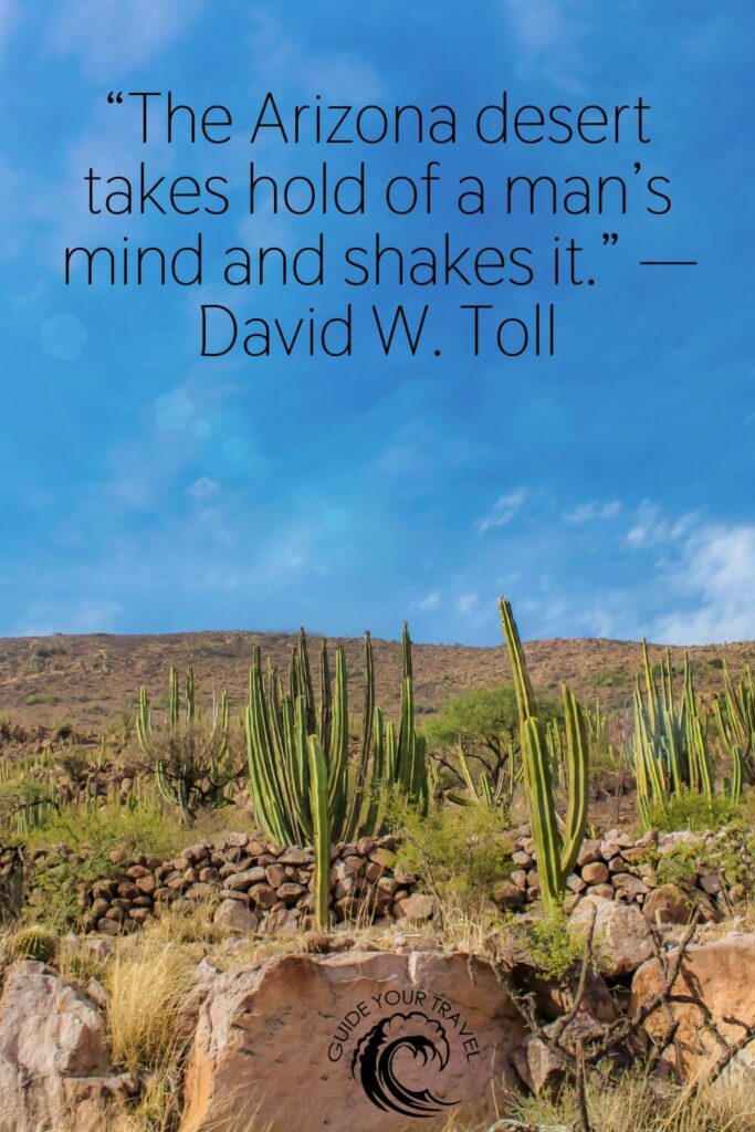 Cactus in the dessert and quote about Arizona