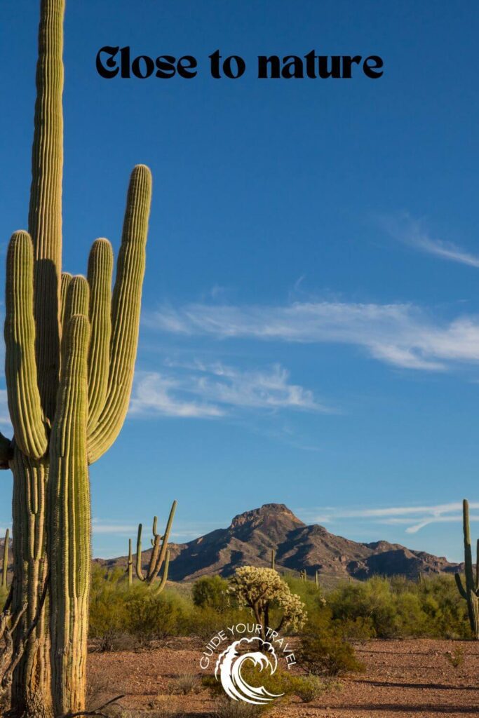 Arizona desert with cactus and mountains which is perfect for instagram captions and quotes