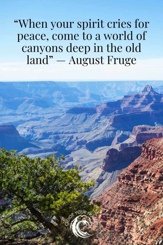 view of the grand canyon with a blue sky and a tree which is perfect for instagram captions and quotes