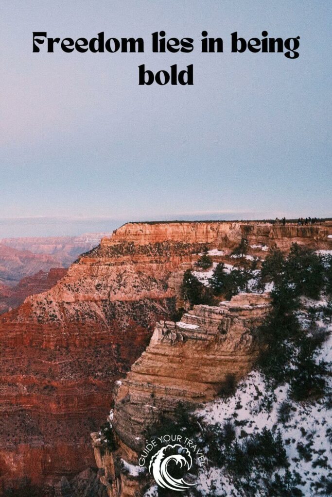 view of the grand canyon with snow and trees 