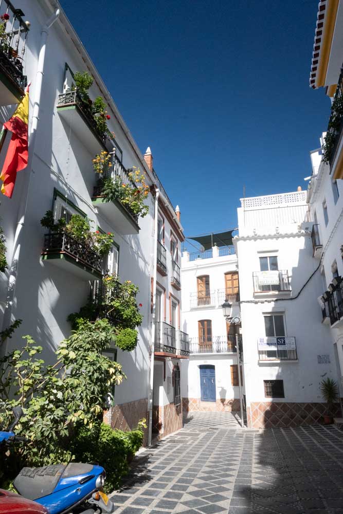 calle de toledo plants alley white village