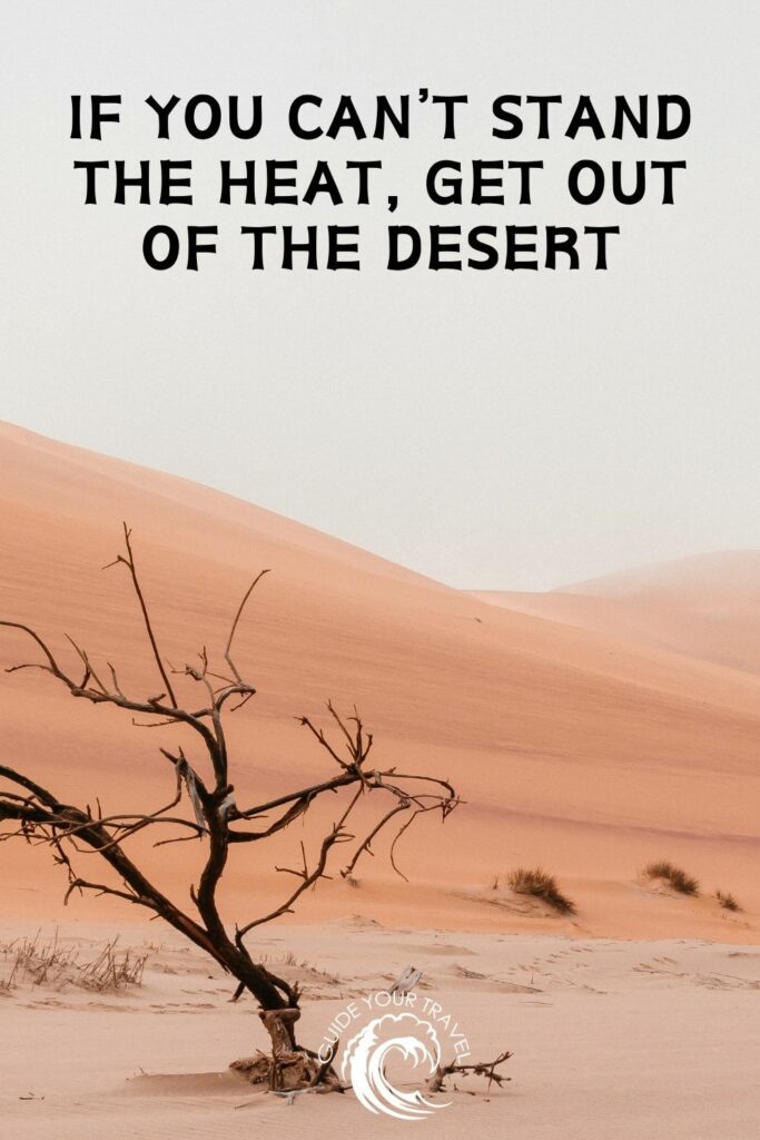 Withered tree stands against a backdrop of soft sand dunes. Desert instagram captions and quotes