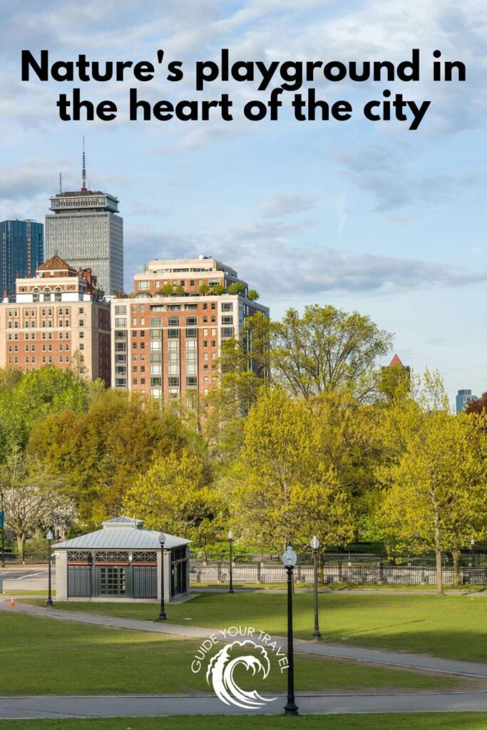 Park with green trees. Boston Instagram captions and quotes