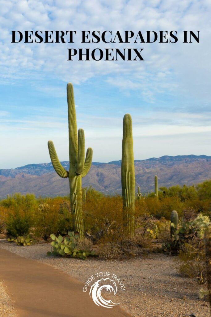 A dirt road through a cactus-filled desert landscape. Phoenix instagram captions and quotes