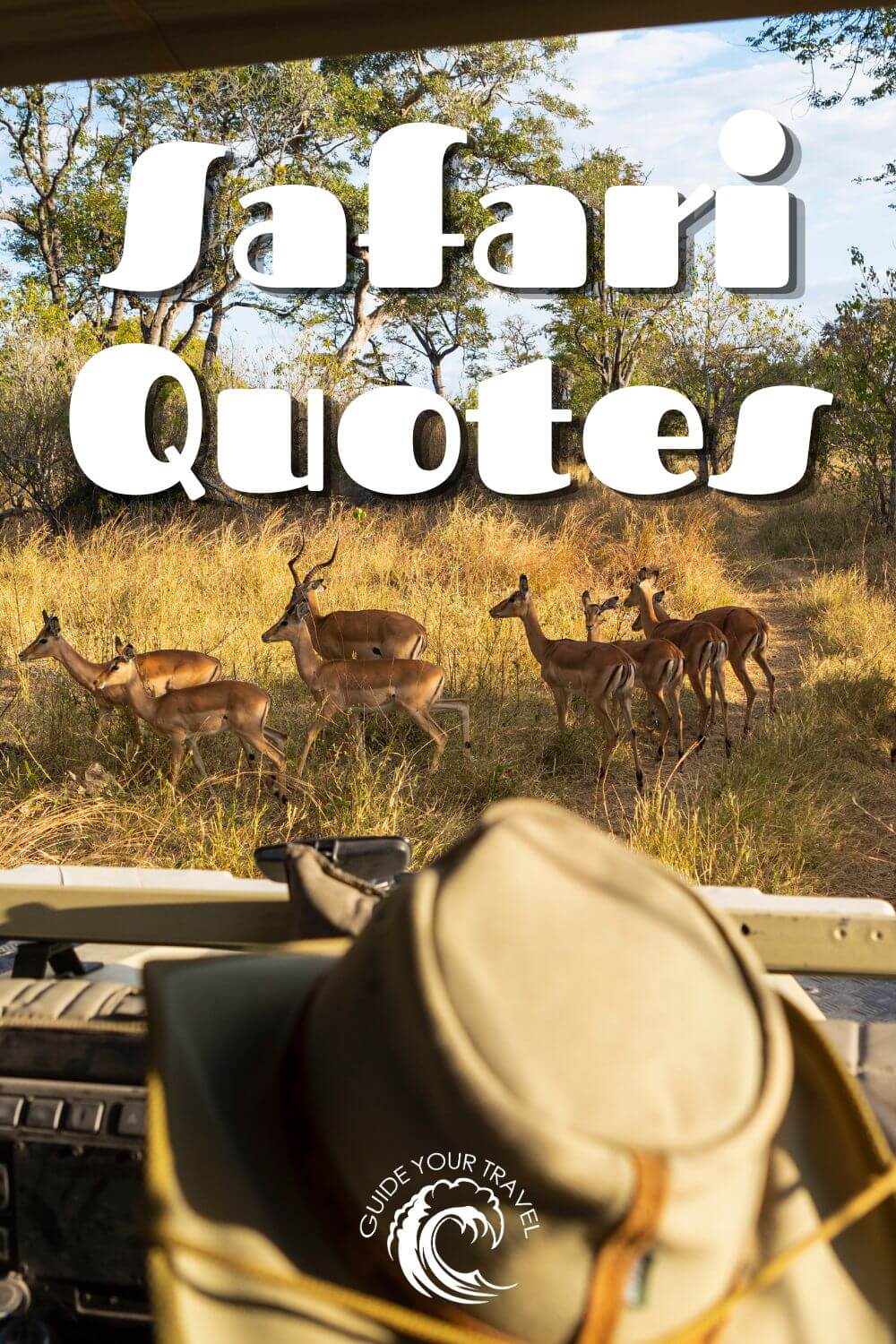 safari quotes and instagram captions