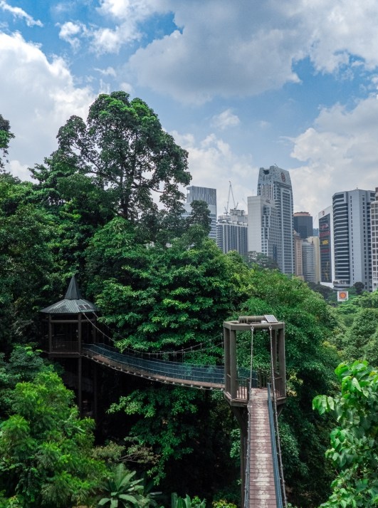 kuala lumpur eco forest park bukit nanas