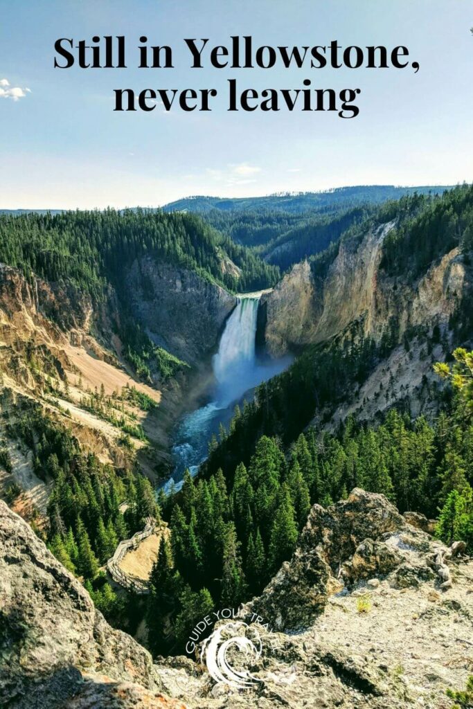 A waterfall flows through a forested canyon in Yellowstone perfect for instagram captions and quotes