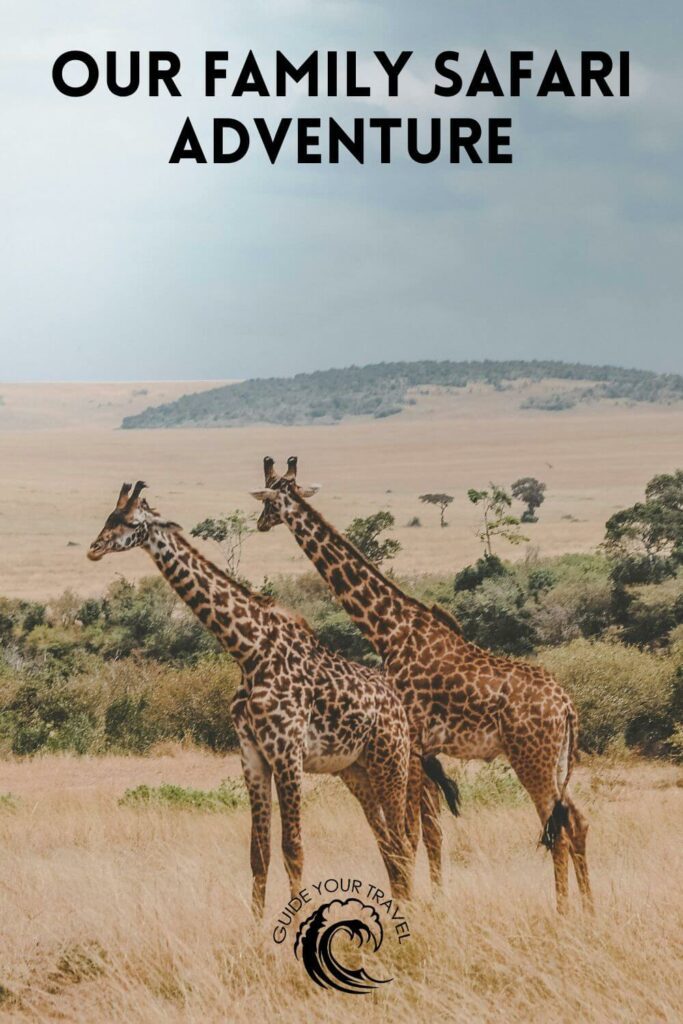 Two giraffes standing in a savannah perfect for Jungle Instagram Captions and Quotes