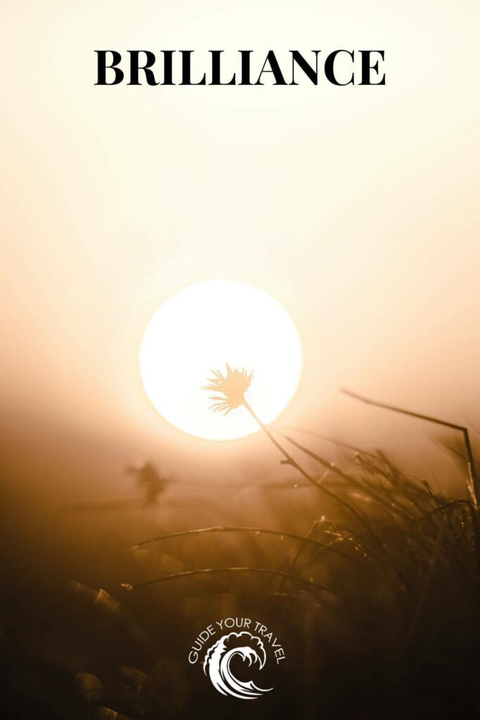 A flower silhouetted against the setting sun perfect for sun Instagram captions and quotes.