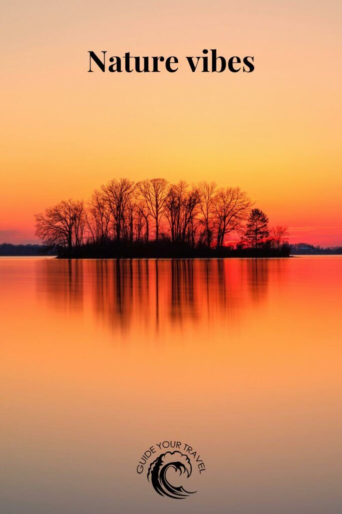 A cluster of trees on a small island with the best two-word instagram captions