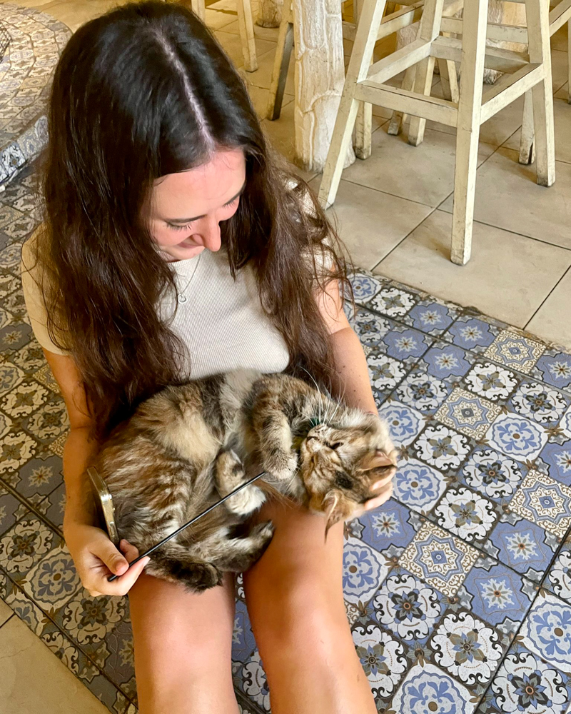 cat cafe bali girl with cat in lap