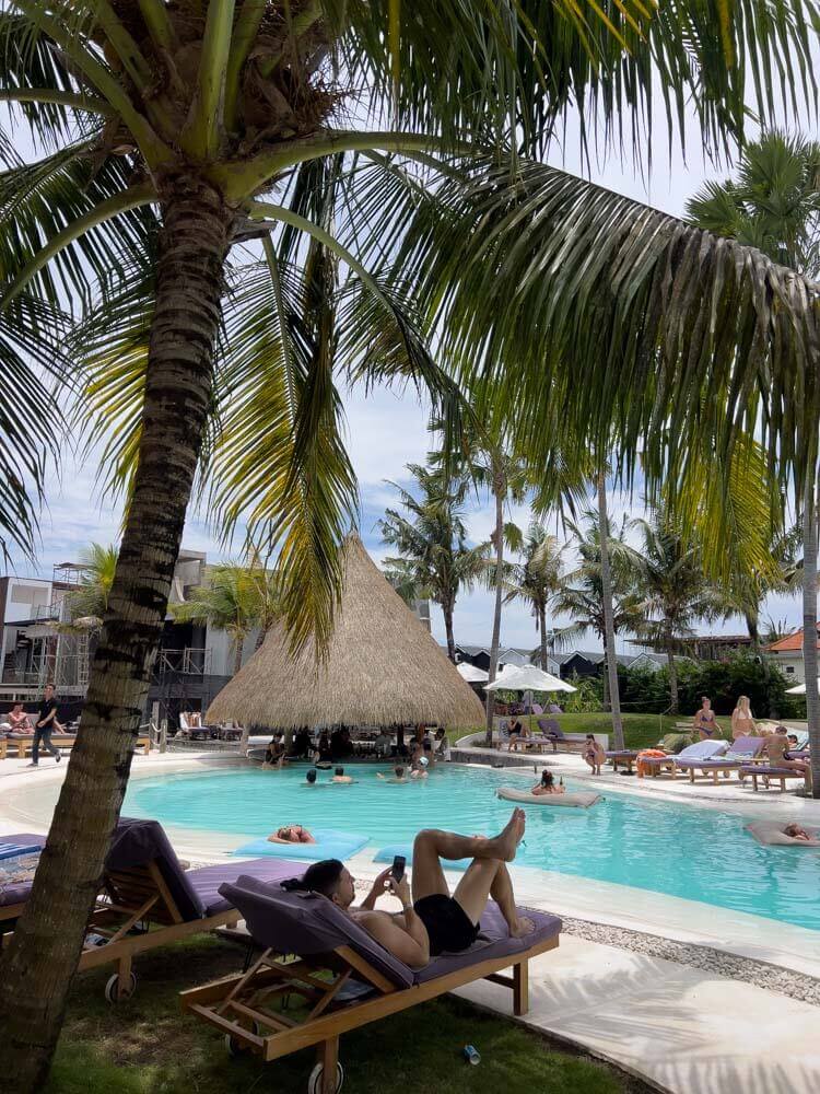 alternative beach pool palm trees