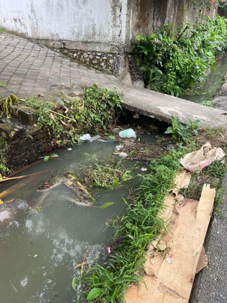 trash and plastic in river making canggu not worth visiting