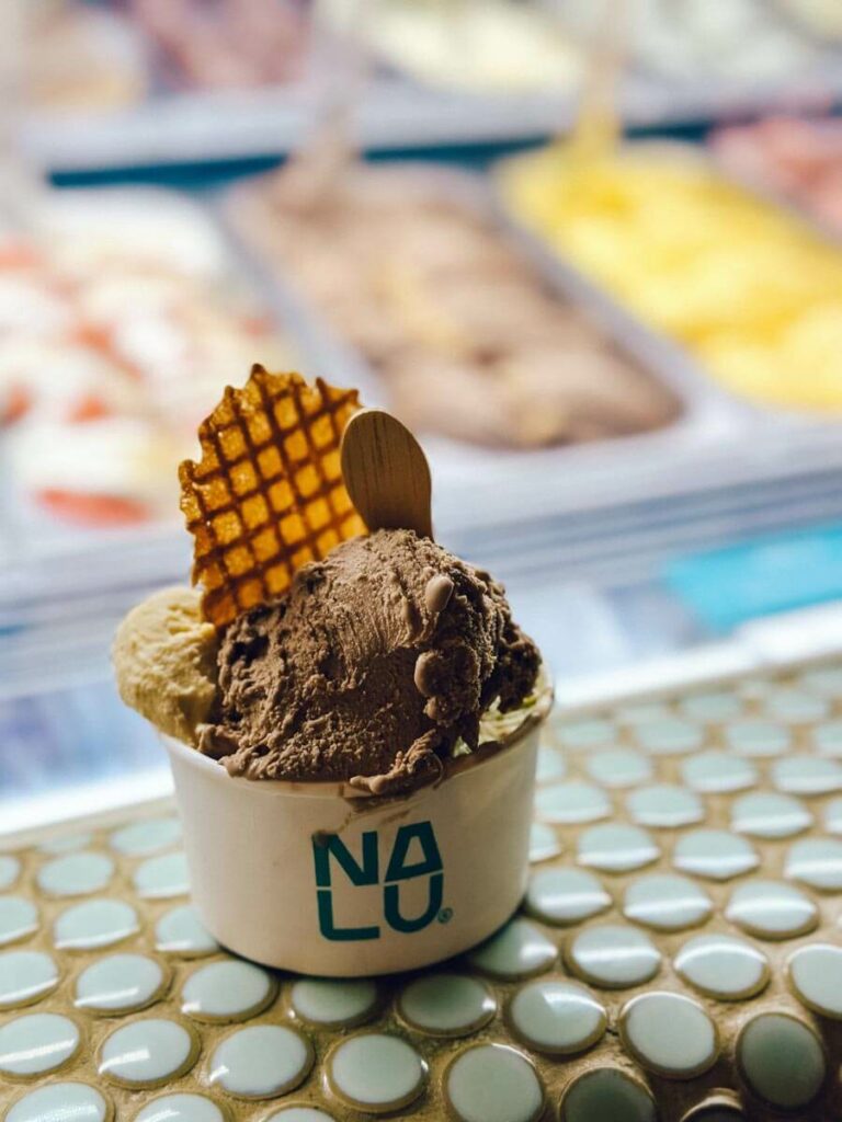 nalu ice cream cup with chocolate ice cream scoops and waffle