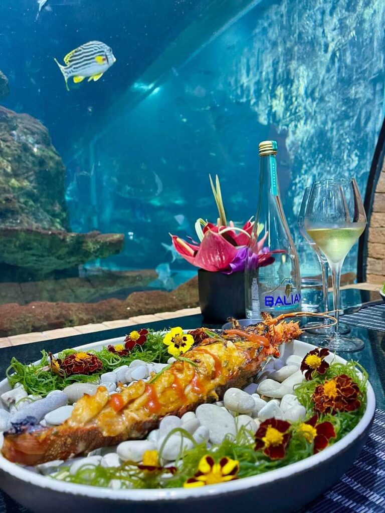 Koral aquarium restaurant