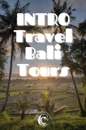bali intro travel tour review 9 or 12 days